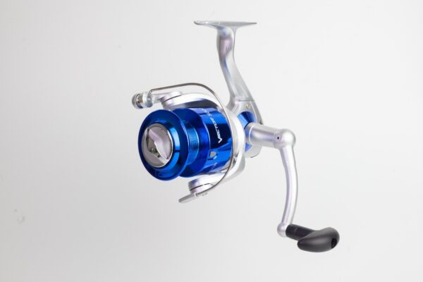 Reel Colony Frontal Vector