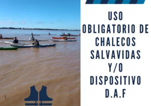Nueva Disposición